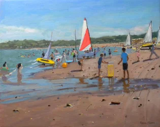 Cricket, 2011